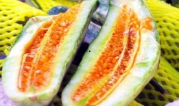 爆品免费吃瓜,揭秘美食狂欢背后的秘密